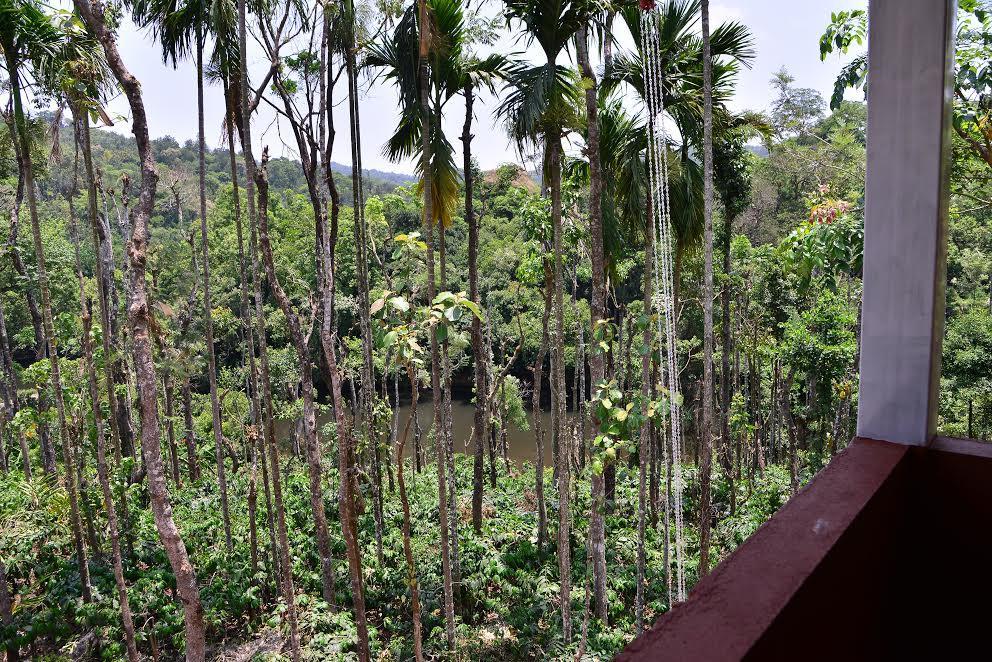 River Near Coorg Jambur Eksteriør bilde