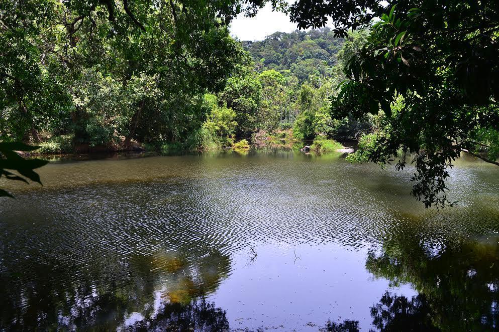 River Near Coorg Jambur Eksteriør bilde